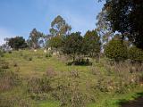 Chabot Park 004